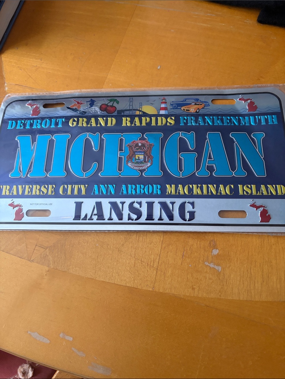 Michigan Decorative License Plate Wall Sign - Blue